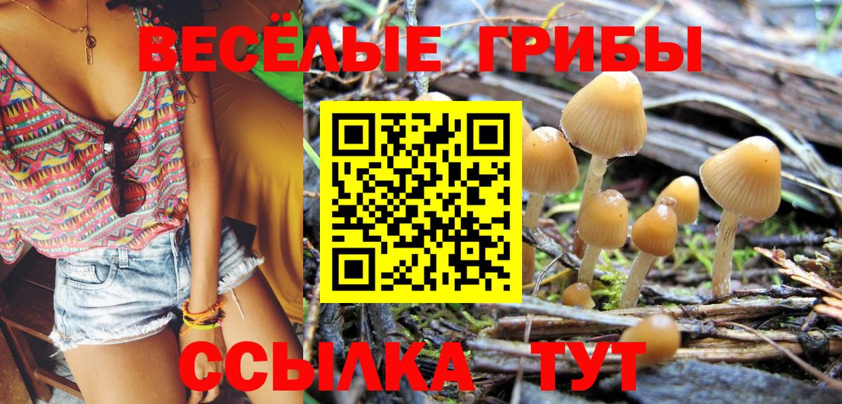 Галлюциногенные грибы мицелий Котовск