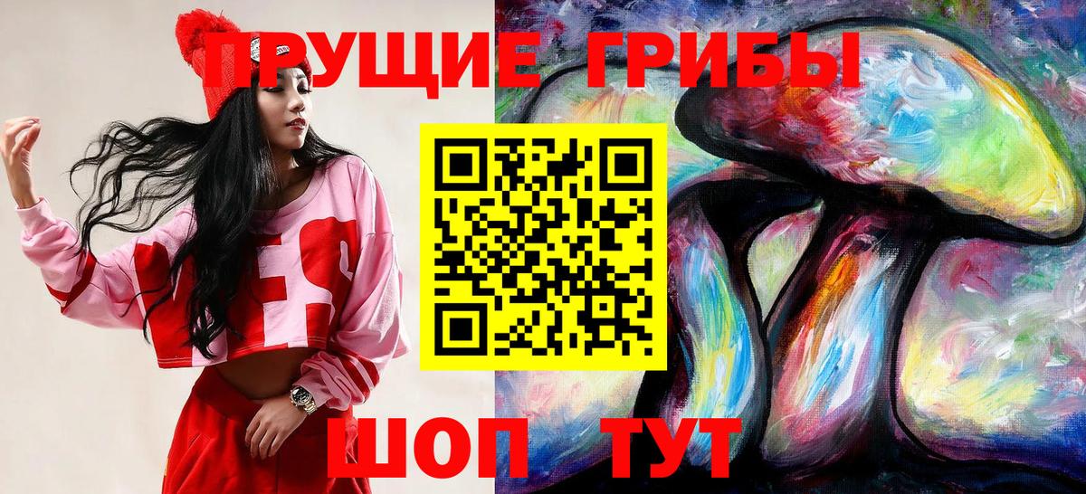 Котовск  Псилоцибиновые грибы прущие грибы  Галлюциногенные грибы мухоморы  цены наркотик  Вход с VPN 